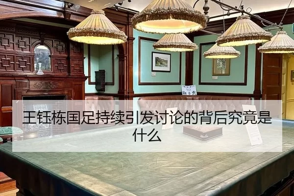 wang-yu-dong-guo-zu-chi-xu-yin-fa-tao-lun-de-bei-hou-jiu-jing-shi-shen-me-2-389.jpg
